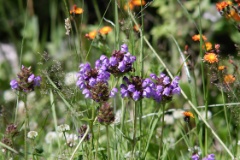 self heal